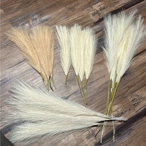 Pampas Grass Lot